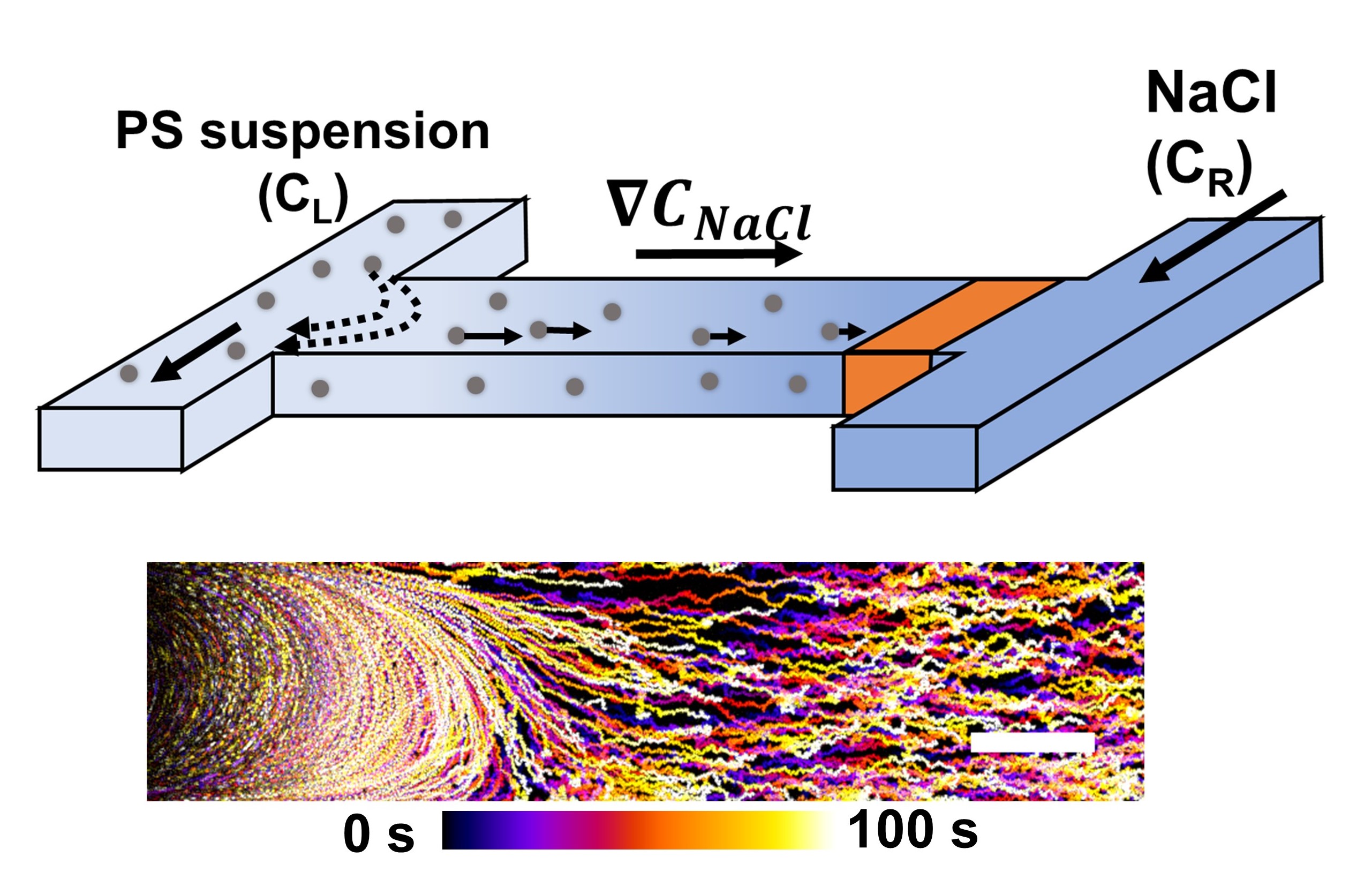 diagram of colloidal gradients research